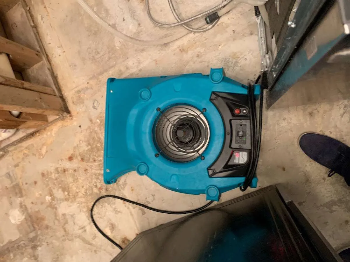 Air mover drying equipment for Mold Remediation & Removal in Leesburg